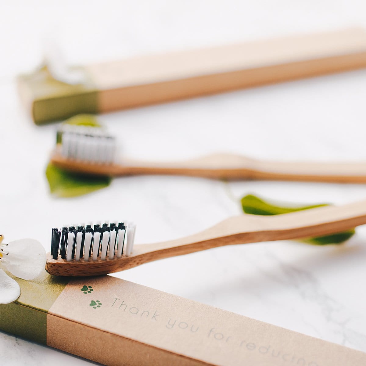 Bamboo Toothbrush | Eco Living