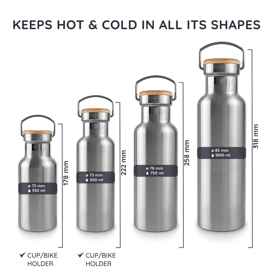 Insulated Water Bottle