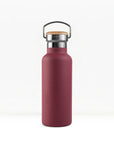 Insulated Water Bottle