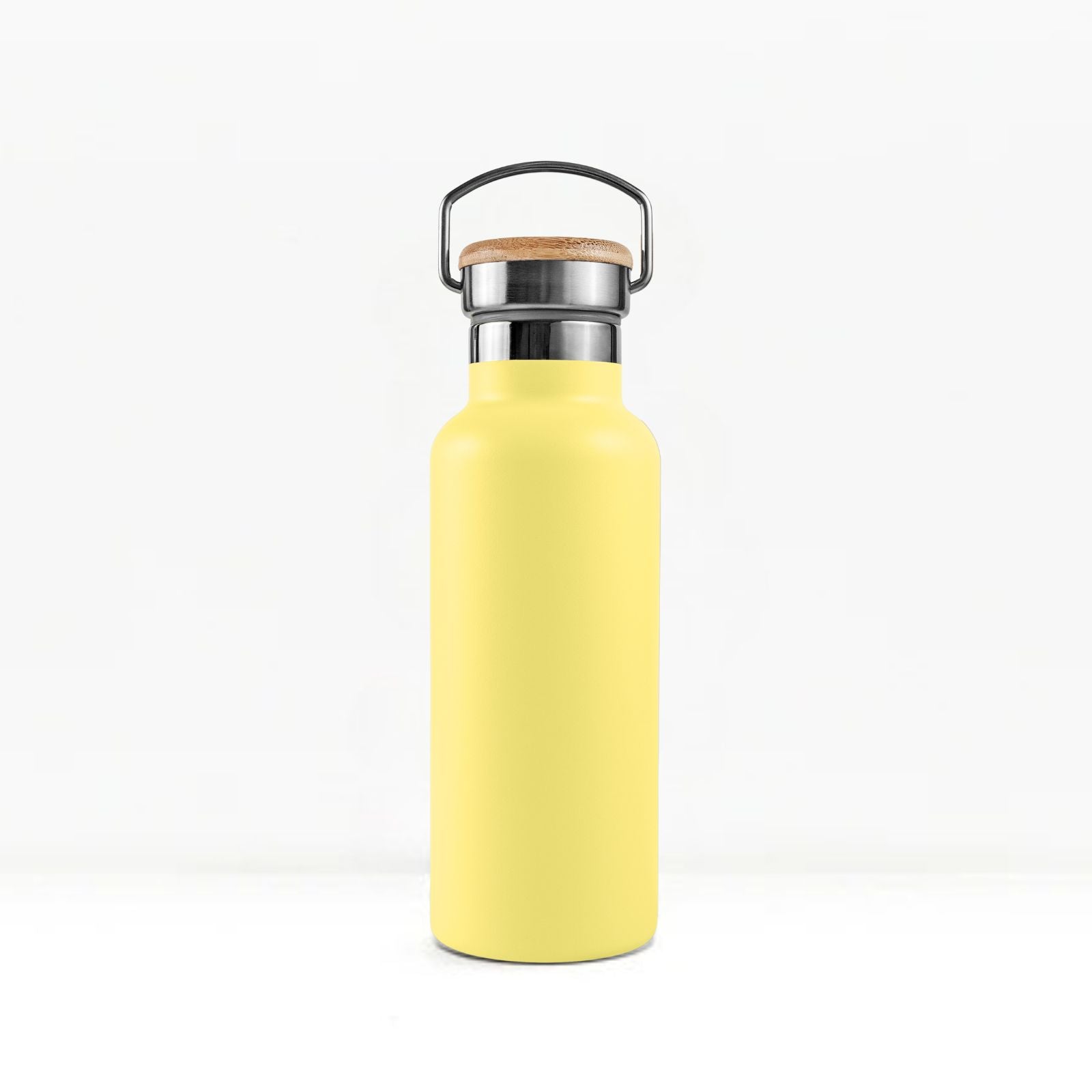 Insulated Water Bottle