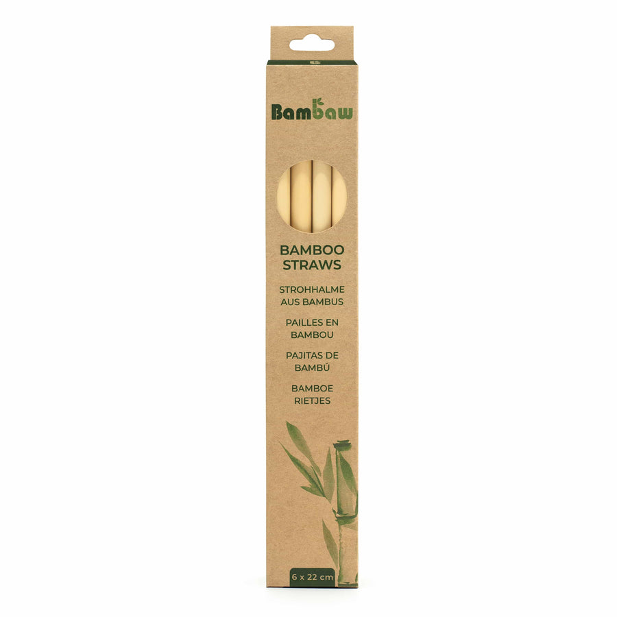 Bambaw Stainless Steel Straws - Ecco Verde Online Shop