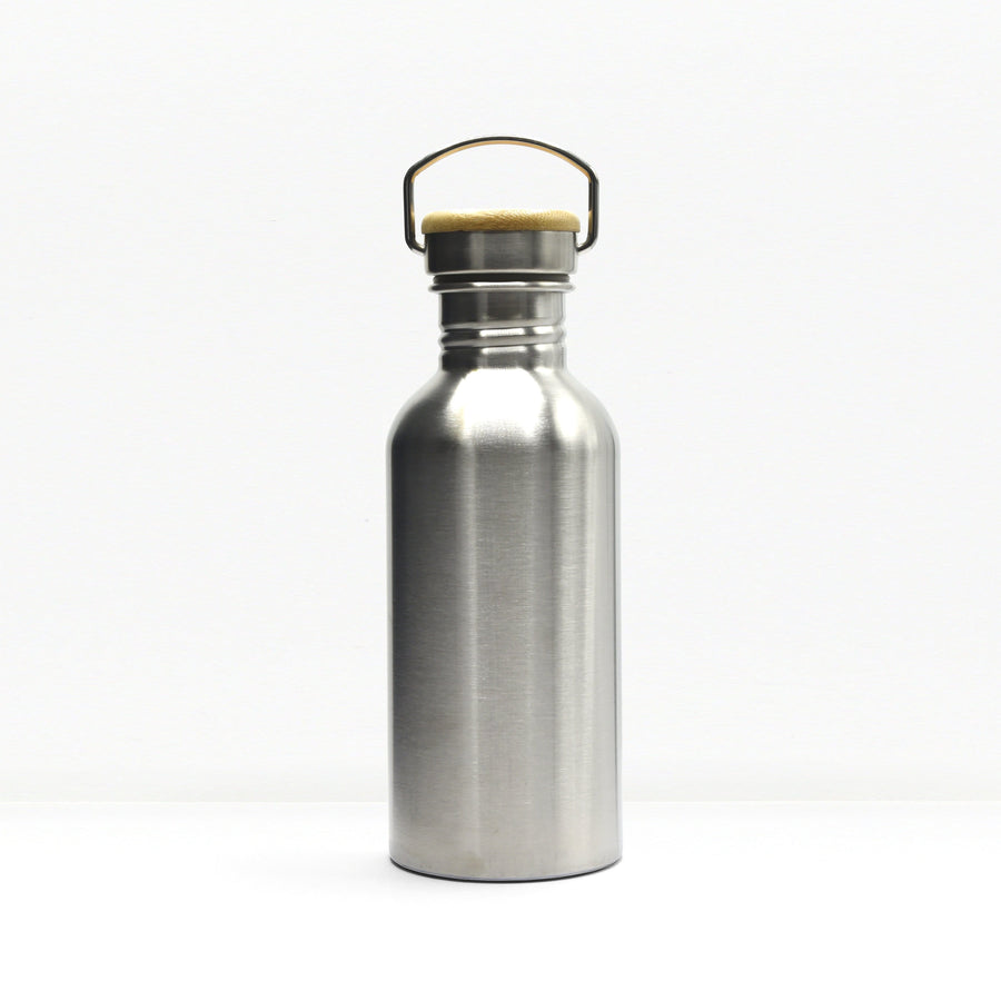 Stainless Steel Water Bottle