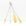 Bottle Brushes