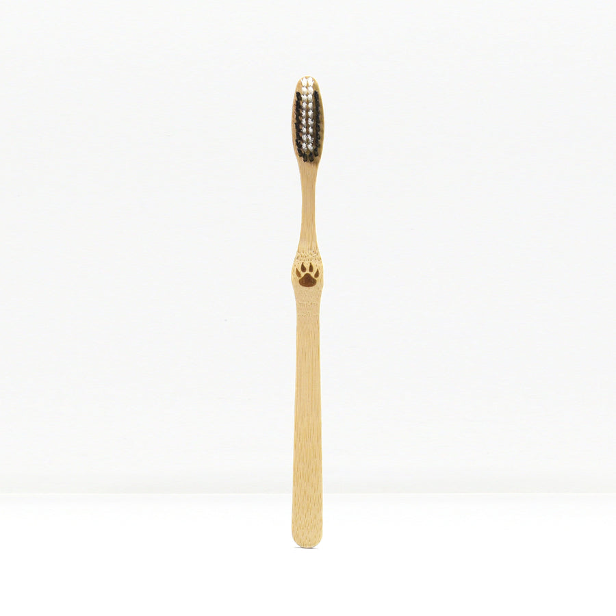 Bamboo Toothbrushes